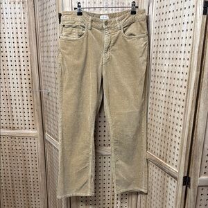 Pilcro‎ Tan Corduroy Pants